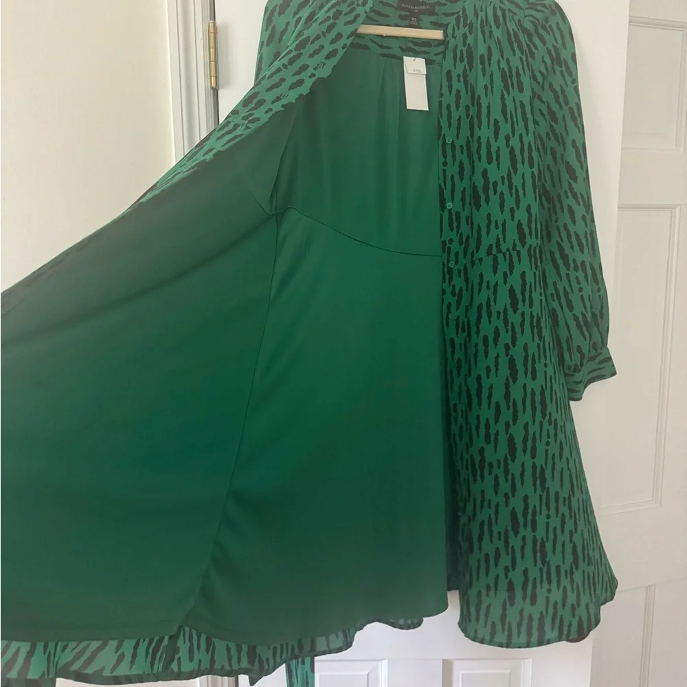 Banana Republic Factory Green and Black Long Sleeve Dress - Picture 4 of 6